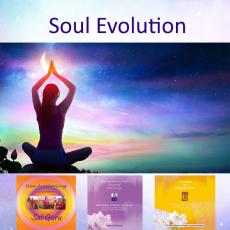 soul Evoution contains 3 courses within the New Awakening Process